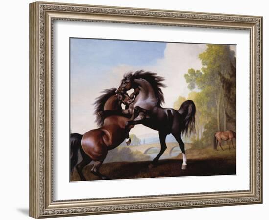 Stallions Fighting-George Stubbs-Framed Giclee Print