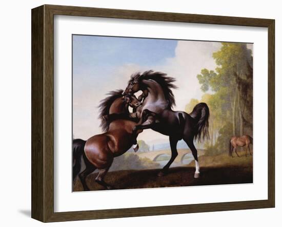 Stallions Fighting-George Stubbs-Framed Giclee Print