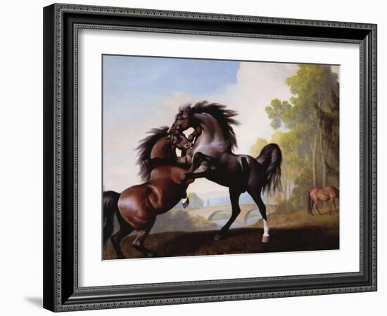 Stallions Fighting-George Stubbs-Framed Giclee Print