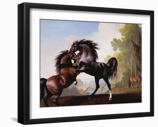 Stallions Fighting-George Stubbs-Framed Giclee Print