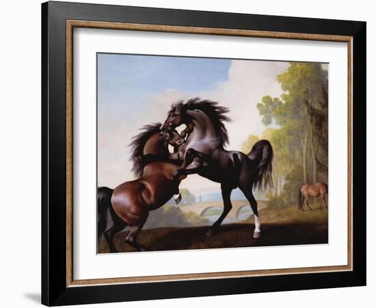 Stallions Fighting-George Stubbs-Framed Giclee Print