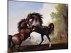 Stallions Fighting-George Stubbs-Mounted Giclee Print