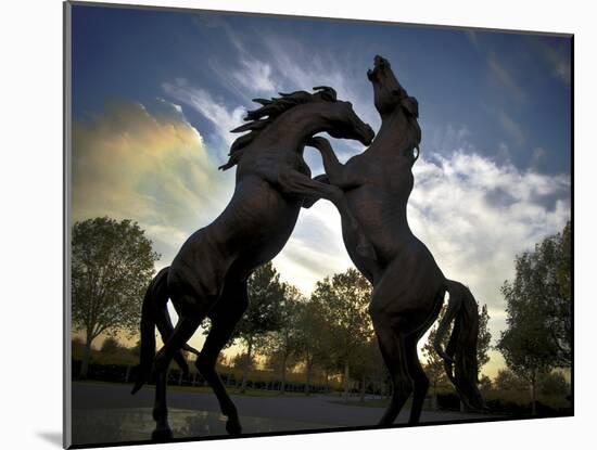 Stallions-SD Smart-Mounted Photographic Print
