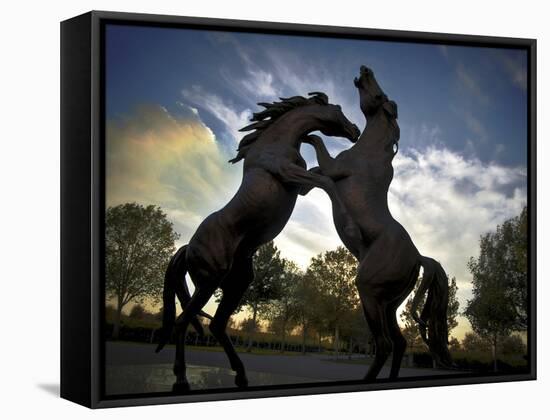 Stallions-SD Smart-Framed Premier Image Canvas