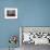 Stalls and People at Christmas Market, Stadtplatz, Steyr, Oberosterreich (Upper Austria)-Richard Nebesky-Framed Photographic Print displayed on a wall