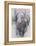 Stambecchi in Estate-Mark Adlington-Framed Premier Image Canvas