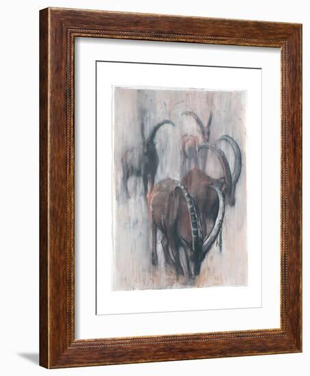 Stambecchi in Estate-Mark Adlington-Framed Giclee Print