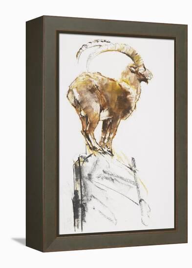 Stambecco d'Oro, 2005-Mark Adlington-Framed Premier Image Canvas