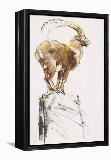 Stambecco d'Oro, 2005-Mark Adlington-Framed Premier Image Canvas