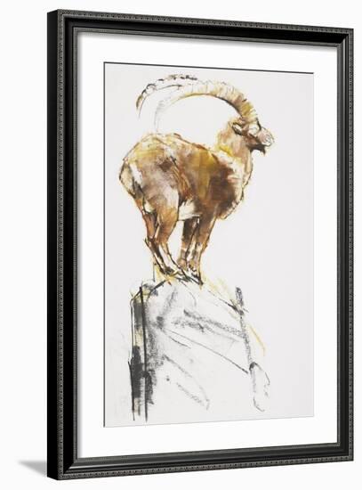 Stambecco d'Oro, 2005-Mark Adlington-Framed Giclee Print