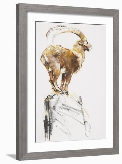 Stambecco d'Oro, 2005-Mark Adlington-Framed Giclee Print