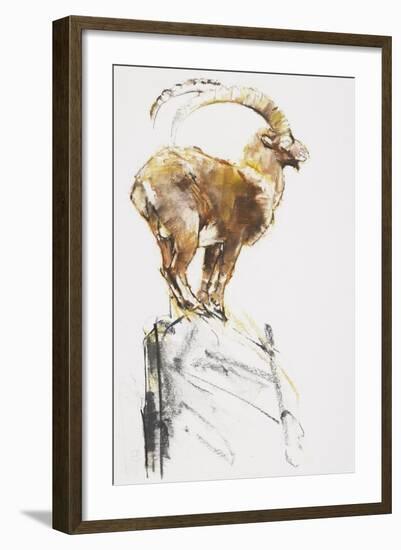 Stambecco d'Oro, 2005-Mark Adlington-Framed Giclee Print