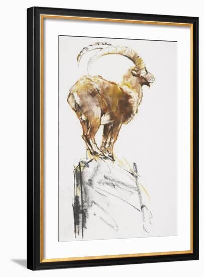 Stambecco d'Oro, 2005-Mark Adlington-Framed Giclee Print