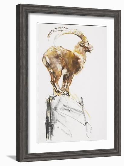 Stambecco d'Oro, 2005-Mark Adlington-Framed Giclee Print