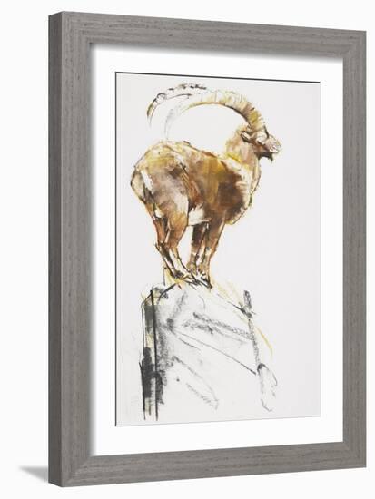 Stambecco d'Oro, 2005-Mark Adlington-Framed Giclee Print
