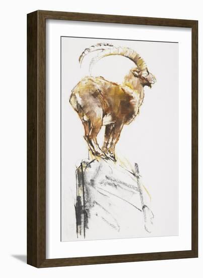 Stambecco d'Oro, 2005-Mark Adlington-Framed Giclee Print