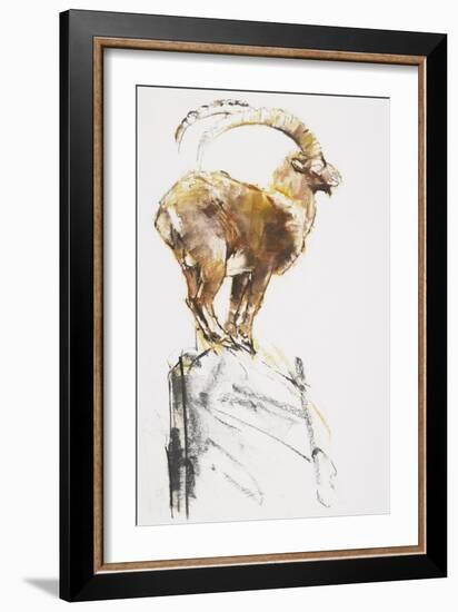 Stambecco d'Oro, 2005-Mark Adlington-Framed Giclee Print