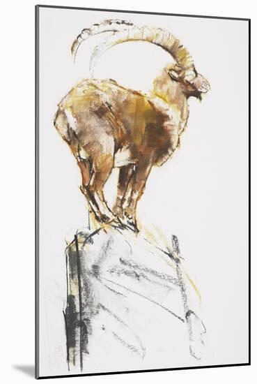 Stambecco d'Oro, 2005-Mark Adlington-Mounted Giclee Print