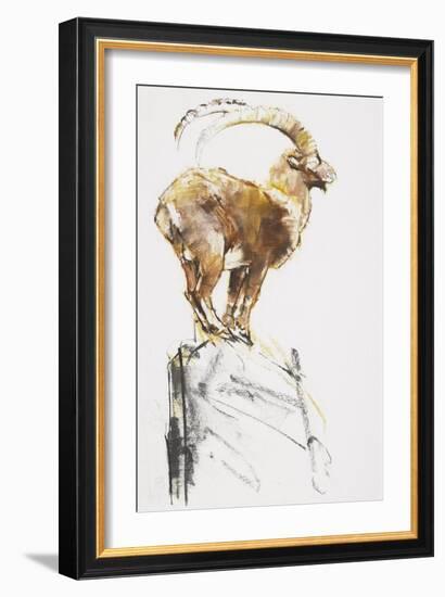 Stambecco d'Oro, 2005-Mark Adlington-Framed Giclee Print