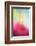 Stamens-Heidi Westum-Framed Photographic Print