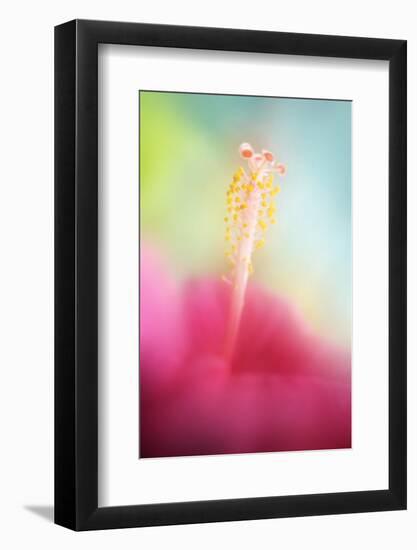 Stamens-Heidi Westum-Framed Photographic Print