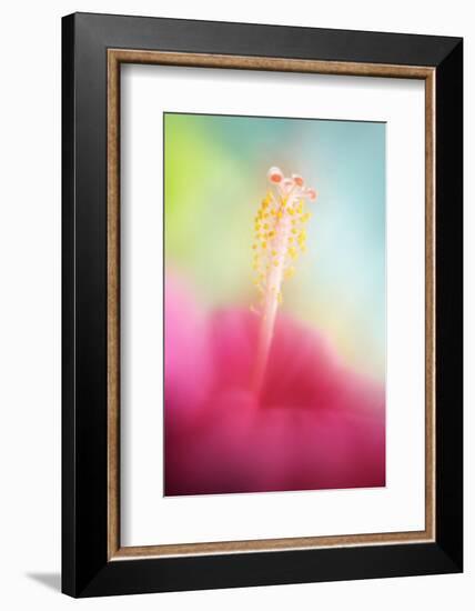 Stamens-Heidi Westum-Framed Photographic Print