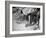 Stamping their Feet, Children from the Avondale Camp Wait to Be Fitted with Free Shoes-Ed Clark-Framed Photographic Print