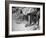 Stamping their Feet, Children from the Avondale Camp Wait to Be Fitted with Free Shoes-Ed Clark-Framed Photographic Print