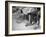 Stamping their Feet, Children from the Avondale Camp Wait to Be Fitted with Free Shoes-Ed Clark-Framed Photographic Print