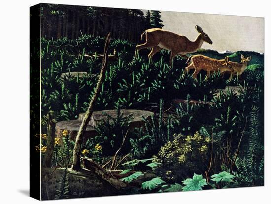 Stretched Canvas Print, , large