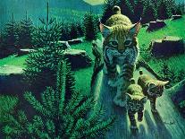 Bobcat and Kittens-Stan Galli-Giclee Print