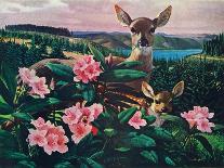 Kingfishers-Stan Galli-Giclee Print
