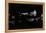 Stan Getz, Royal Festival Hall, London, 1988-Brian O'Connor-Framed Premier Image Canvas