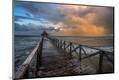 Premium Photographic Print