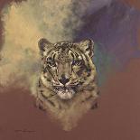 Snow Leopard-Stan Kaminski-Giclee Print