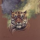 Snow Leopard-Stan Kaminski-Giclee Print