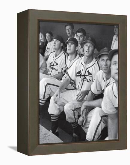 Stan Musial St. Louis Cardinals Most Outstanding Player Following Foul Ball from Bench-Joe Scherschel-Framed Premier Image Canvas