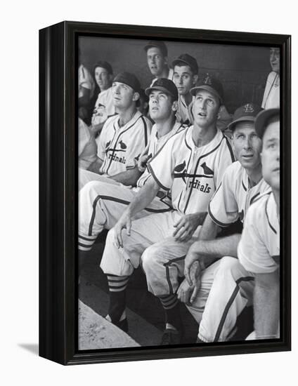 Stan Musial St. Louis Cardinals Most Outstanding Player Following Foul Ball from Bench-Joe Scherschel-Framed Premier Image Canvas