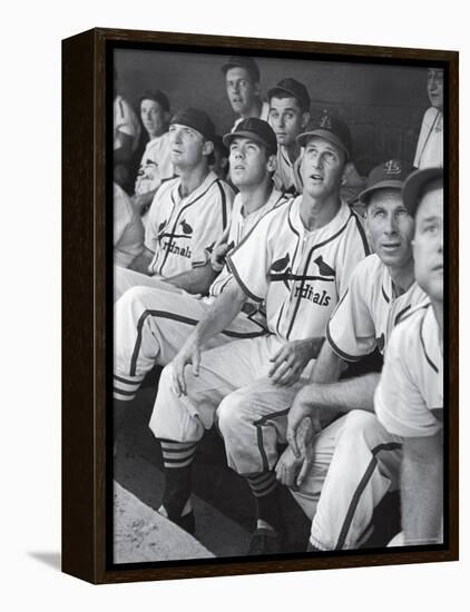 Stan Musial St. Louis Cardinals Most Outstanding Player Following Foul Ball from Bench-Joe Scherschel-Framed Premier Image Canvas