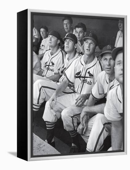 Stan Musial St. Louis Cardinals Most Outstanding Player Following Foul Ball from Bench-Joe Scherschel-Framed Premier Image Canvas