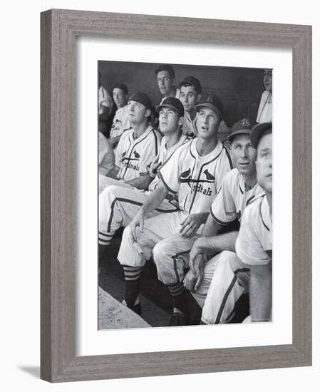 Stan Musial St. Louis Cardinals Most Outstanding Player Following Foul Ball from Bench-Joe Scherschel-Framed Premium Photographic Print