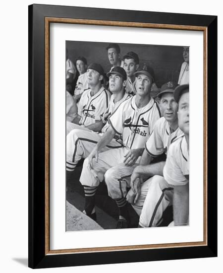 Stan Musial St. Louis Cardinals Most Outstanding Player Following Foul Ball from Bench-Joe Scherschel-Framed Premium Photographic Print