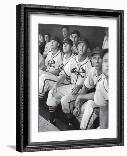 Stan Musial St. Louis Cardinals Most Outstanding Player Following Foul Ball from Bench-Joe Scherschel-Framed Premium Photographic Print