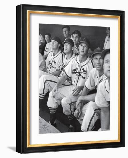 Stan Musial St. Louis Cardinals Most Outstanding Player Following Foul Ball from Bench-Joe Scherschel-Framed Premium Photographic Print