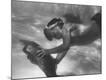 Photographic Print