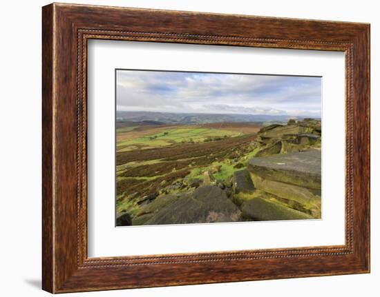 Stanage Edge and millstones in autumn, Hathersage, Peak District National Park, Derbyshire, England-Eleanor Scriven-Framed Photographic Print