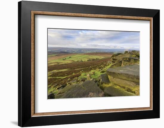 Stanage Edge and millstones in autumn, Hathersage, Peak District National Park, Derbyshire, England-Eleanor Scriven-Framed Photographic Print