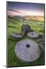 Stanage Edge Millstones at Sunrise, Peak District National Park, Derbyshire-Andrew Sproule-Mounted Photographic Print