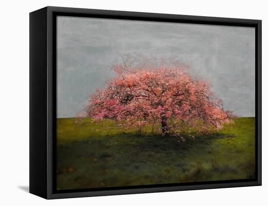 Stand Alone Beauty, 2019,-Helen White-Framed Premier Image Canvas