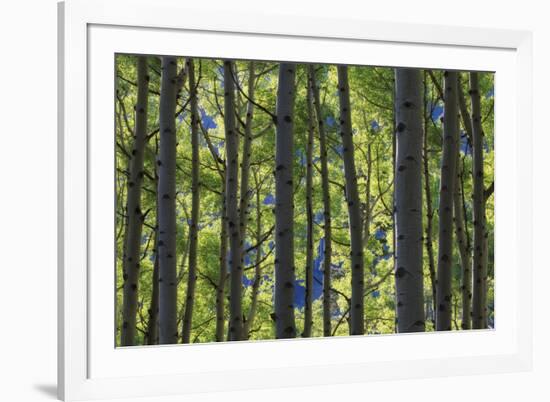 Stand of Majesty-Michael Greene-Framed Giclee Print